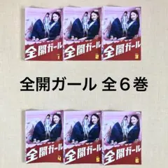 全開ガール DVD 全巻 セット ドラマ 新垣結衣 錦戸亮 平山浩行 蓮佛