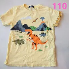 クレードスコープ 恐竜 Tシャツ 110