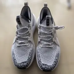 Item thumbnail for item 4c54ff87-b508-4281-b97b-083470d2d278