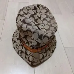 Item thumbnail for item 1fc5ed72-c455-4fca-bacd-e7fad3a93dc1