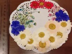 Item thumbnail for item 881078f3-ab0e-4ea6-8536-95bc7816f31d