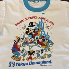 ディズニーシー グランドオープニング記念の旗 非売品 - メルカリ