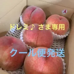 山梨の木のてっぺん桃　超特大を5個詰めて2箱発送　人気商品 山梨の木のてっぺん桃 超特大を5個詰めて発送 人気商品 ももやのきよし