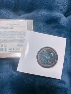 TXT ワッペンバッジ　Wappen BADGE テヒョン