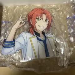 申*ん様 あんスタ レオ 一緒に暮らすアクスタのサムネイル