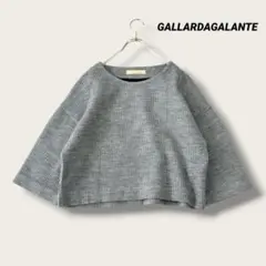 GALLARDAGALANTE リブニット ワイドスリーブ ショート丈 グレーのサムネイル