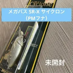 Item thumbnail for item 1cedcbb8-edaa-4226-adcb-35416ecfd6ac