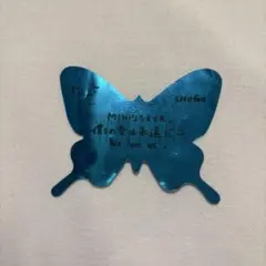 【美品】INI田島将吾④蝶々落下物ドームツアー 5TH ANNIV.東京ドーム