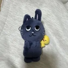 RIIZE ウォンビン ぬいぐるみ 人形 トニャンドク 10cm 토냥덕 2 - メルカリ
