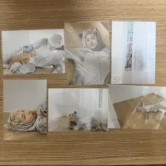 田中洸希 22歳 生誕生写真