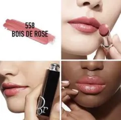 【ほぼ新品未使用】Dior ディオール アディクト リップスティック　558