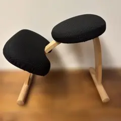 バランスイージー ベージュ　撥水　黒_カバー付き