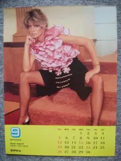 レア‼️ファラ・フォーセット主演　サンバーン('79米) DVDセル版　美品 希少】映画 サンバーン DVD ファラ・フォーセット 洋画 Sunburn