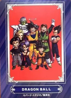 アニメイトジャンプフェア2024 特典カード/ドラゴンボール　匿名配送します
