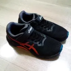 Item thumbnail for item 7c1d78ea-49c6-40c6-bbeb-ebbd3c46304b