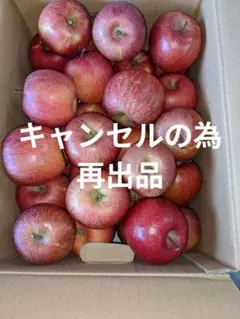 加工用超訳あり サンふじ　箱込み10kg