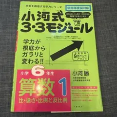 小河式3・3モジュール 小６算数　３冊セット 小河式3・3モジュール 小学6年生 算数1 比・速さ・比例と反比例 - メルカリ
