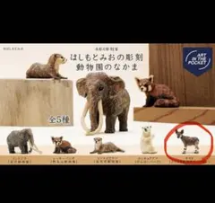 はしもとみおの彫刻　動物園のなかま　オカピのサムネイル