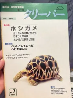 爬虫類・両生類情報誌 隔月刊 クリーパー No.7 2001クリーパー社（廃盤）