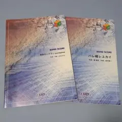 Item thumbnail for item a1fb2621-5070-4153-b5fb-eb3ad9ed566a