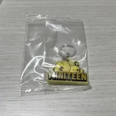 SEVENTEEN MINITEEN めじるしアクセサリー ホシ