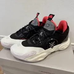 リーニン　ウェイド　オールシティ12 24.5センチ