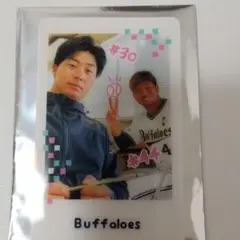 廣岡大志 応援グッズ