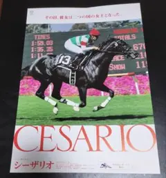 【非売品】エピファネイア ジャパンCポスター B1サイズ 競馬 ヒーロー列伝 非売品】エピファネイア ジャパンCポスター B1サイズ 競馬 ヒーロー