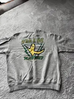 WHAT IT ISNT トレーナー GAP フード付きelementロンT