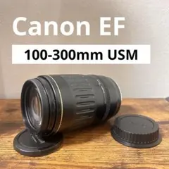 100-300mm望遠レンズ◇キヤノン◇EOS Kiss◇EF◇Canon - メルカリ