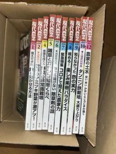 駿台 講習テキストセット（夏期・冬季・直前） ＊東大志望者（理系