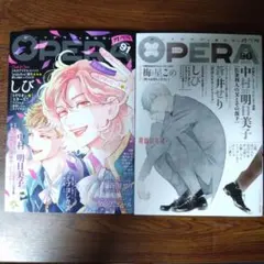 ボーイズラブ雑誌 OPERA 90 91 2冊セット