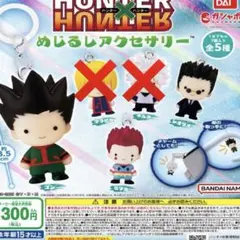 HUNTER HUNTER めじるしアクセサリー ゴン レオリオ ヒソカ