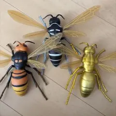 2026年最新】昆虫標本 ハチの人気アイテム - メルカリ