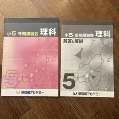 Item thumbnail for item 624601a8-5a4e-44cc-b917-ae2f208f95ca