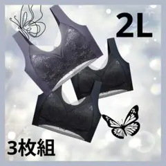 レース装飾ブラジャー3点セット　黒2枚　グレー　バストアップ　ノンワイヤー　新品