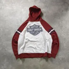 HARLEYDAVIDSONハーレーダビッドソンスウェットパーカーマルチカラー