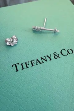 2026年最新】tiffany supreme ピアスの人気アイテム - メルカリ