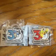 ポケモン 30周年 メタルチャームマスコット ガチャ ピカチュウ カメックス