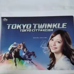 2025年最新】東京シティ競馬 クリアファイルの人気アイテム