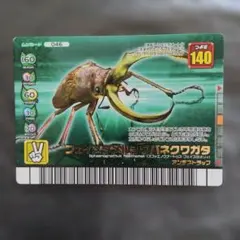 甲虫王者ムシキング フェイスタメルシワバネクワガタ カード