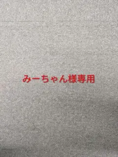 みーちゃん様専用