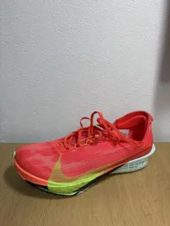 NIKE エアズーム ストリークフライ2 25.0cmのサムネイル