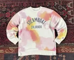 champion タイダイ カレッジロゴ スウェット トレーナー ホワイト L