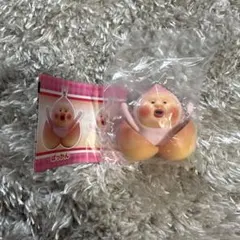 こびとづかん カクレモモジリコレクション　ぱっかん　ガチャ