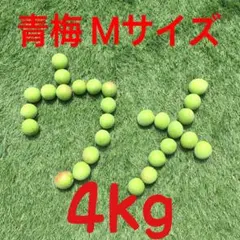 30 伝衛門様　青梅　Mサイズ　冷蔵便5kg