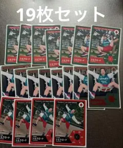 フィッシャーズ グリーニア トレカ シルクロード 19枚セット