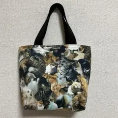 Item thumbnail for item 5e46ccfa-6acf-4153-8ea2-c4fc3f41ece1