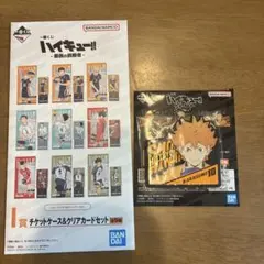 ハイキュー 日向