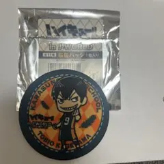 ハイキュー!! 宮城フェス J-WORLD 布缶バッジ 影山飛雄